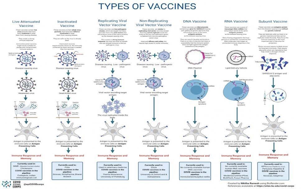 Types of Vaccines